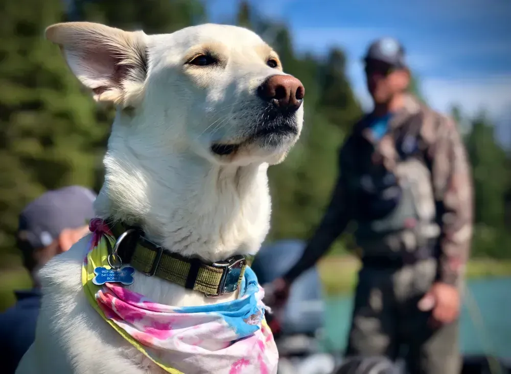 Kenai fishing guide trip photo 4
