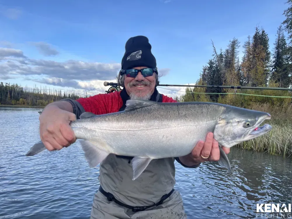 Coho Salmon