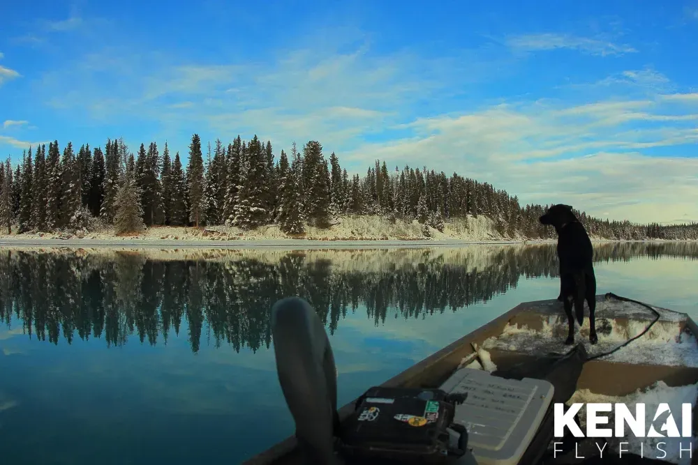 Kenai fishing guide trip photo 14