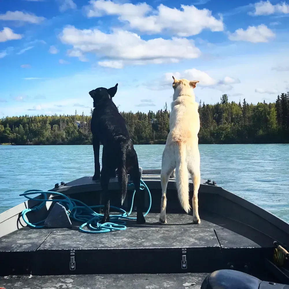 Kenai fishing guide trip photo 18