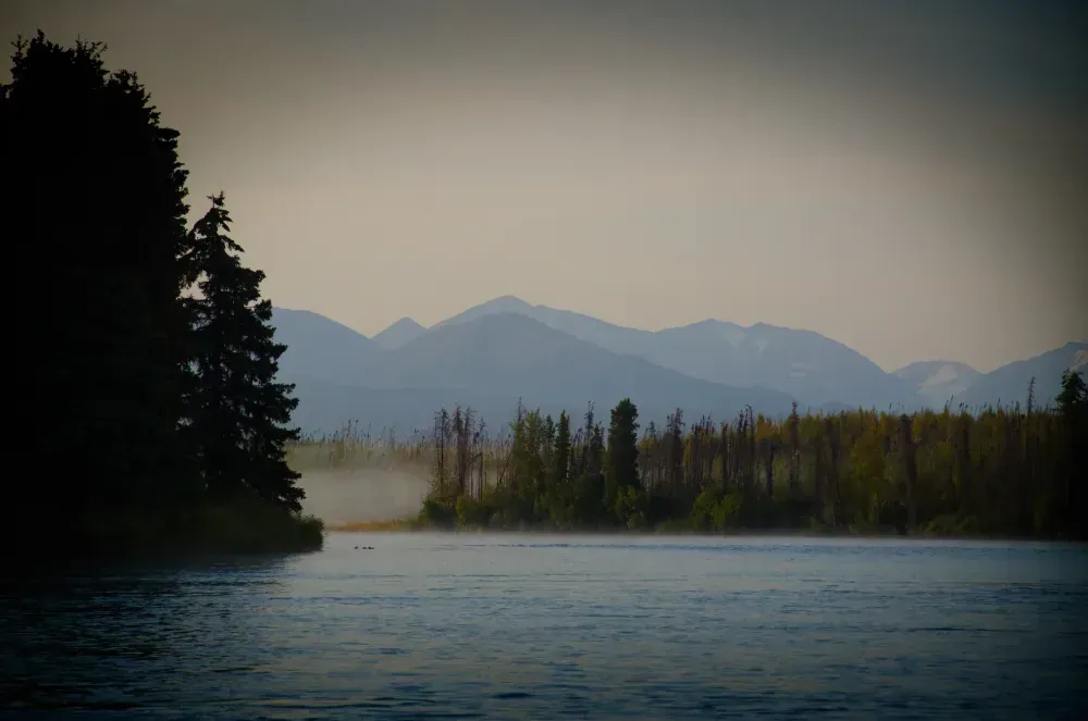 Kenai fishing guide trip photo 18