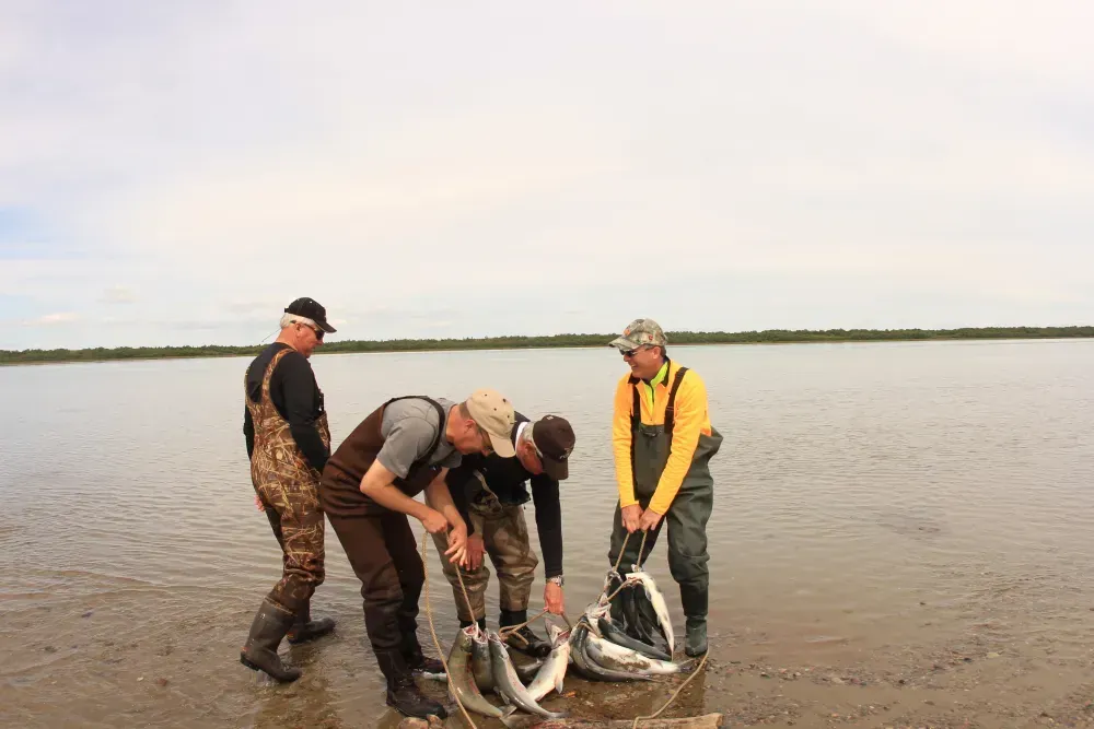 Expert Kenai River fishing guide
