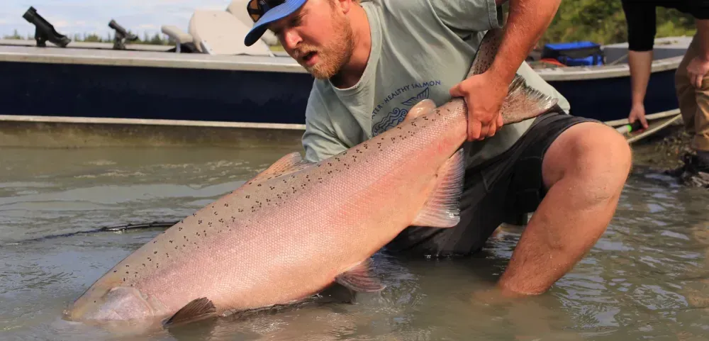 Kenai fishing guide trip photo 5