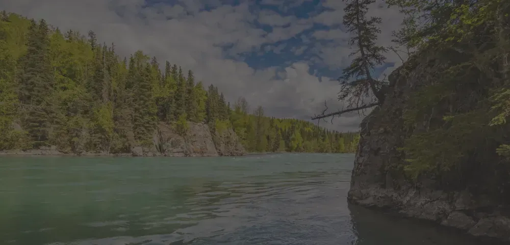 Kenai River