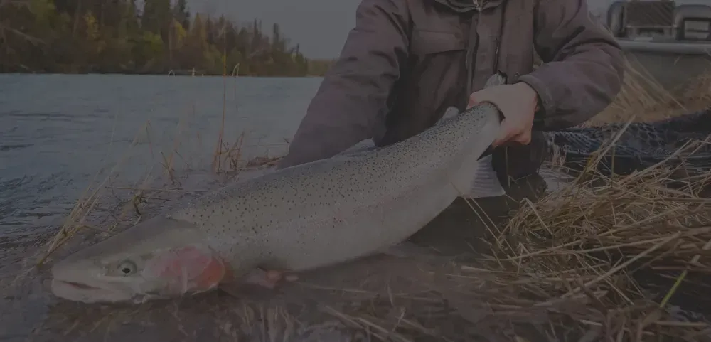 Fishing Calendar Background