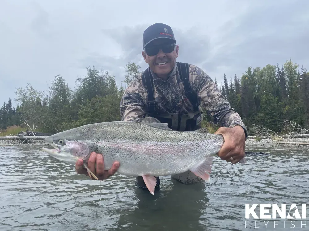 Coho Salmon