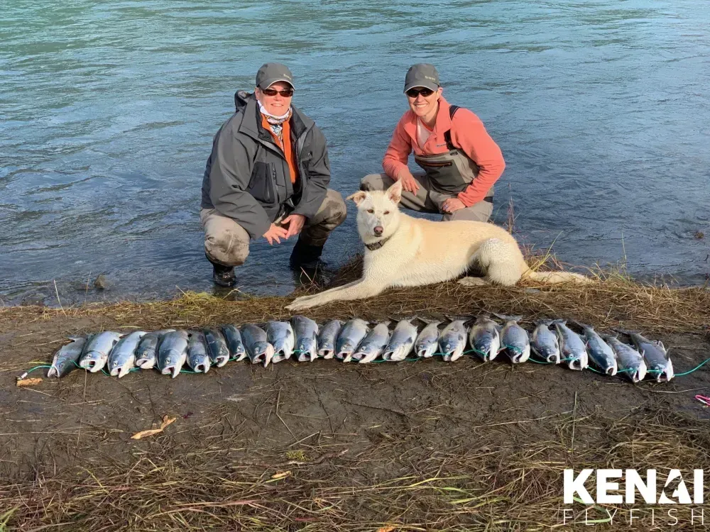 Kasilof Sockeye Limit
