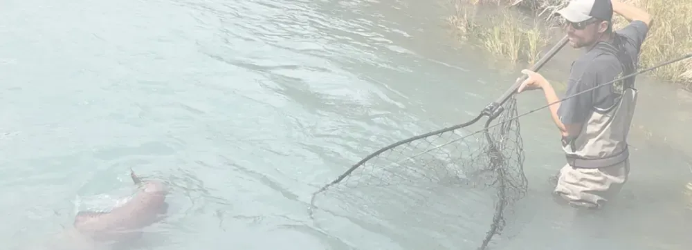 Kenai fishing guide trip photo 8