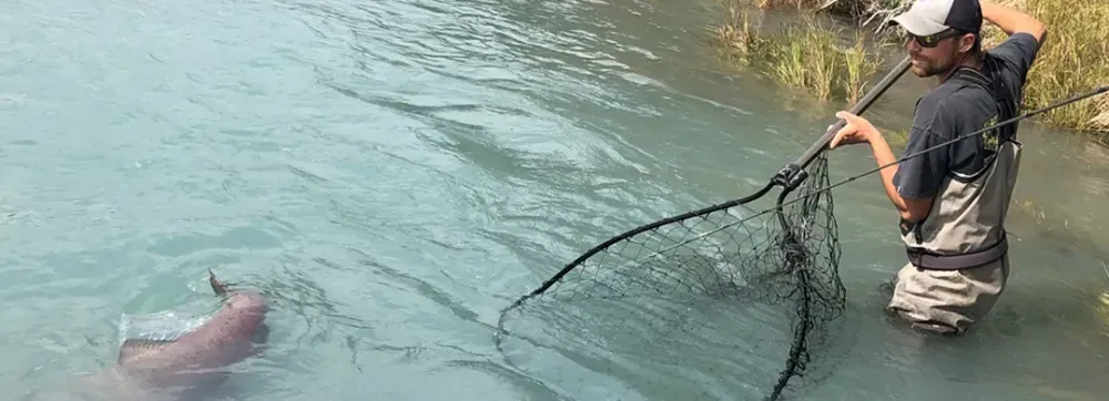 Kenai fishing guide trip photo 3