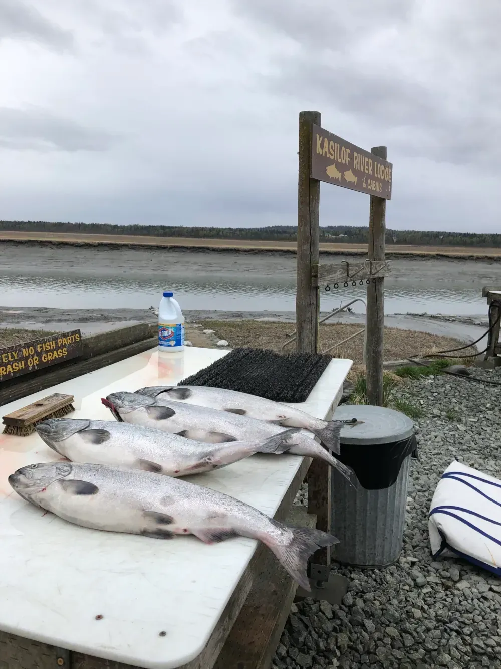 Kenai fishing guide trip photo 4
