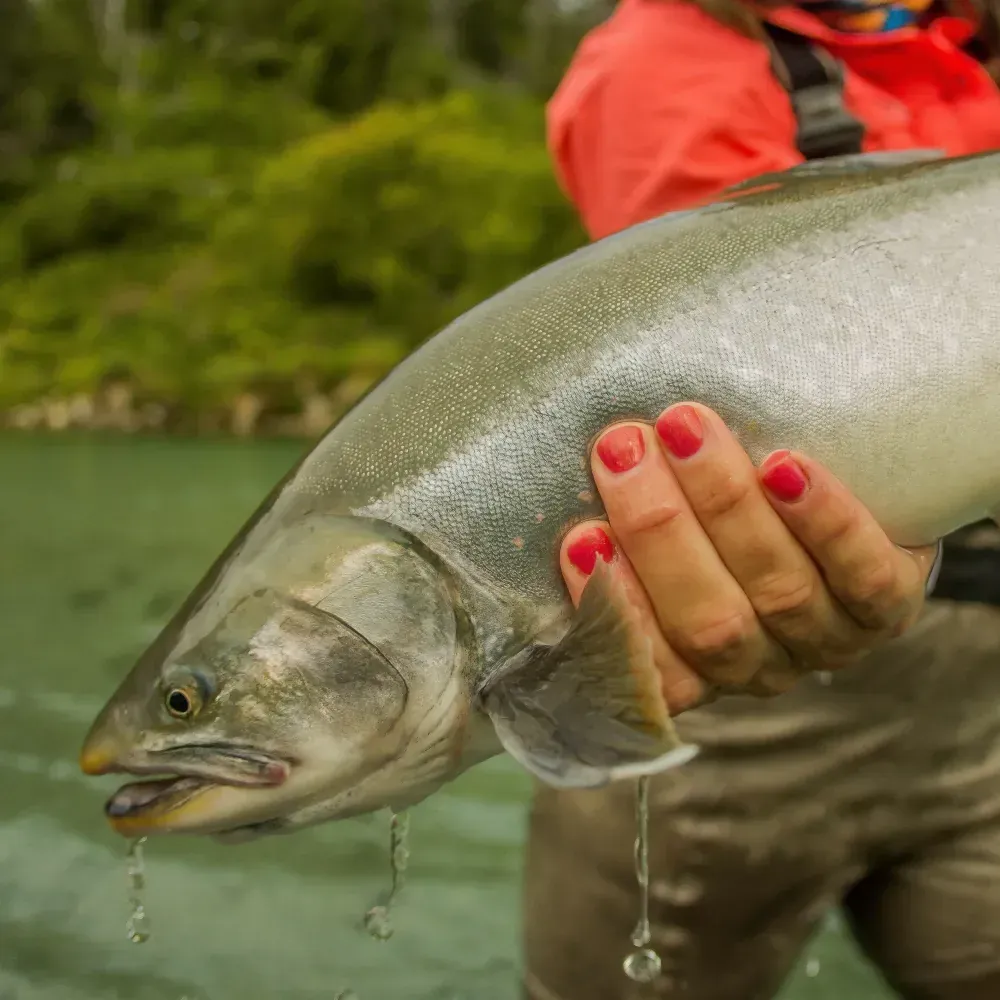 Kenai fishing guide trip photo 26