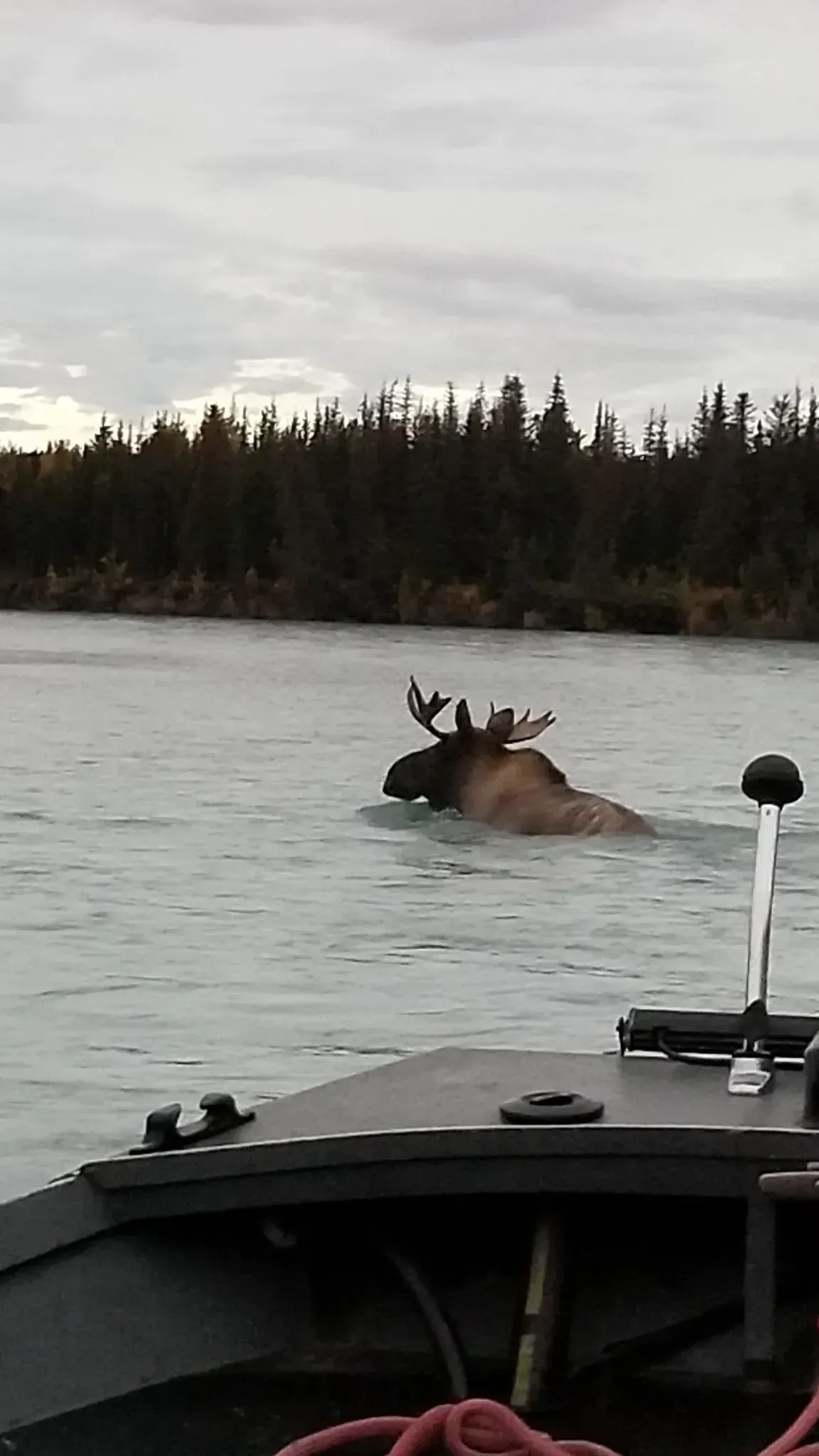 Kenai fishing guide trip photo 23