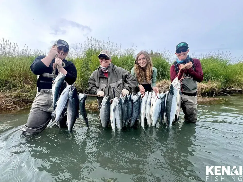 Kenai Sockeye Salmon: The Complete Guide