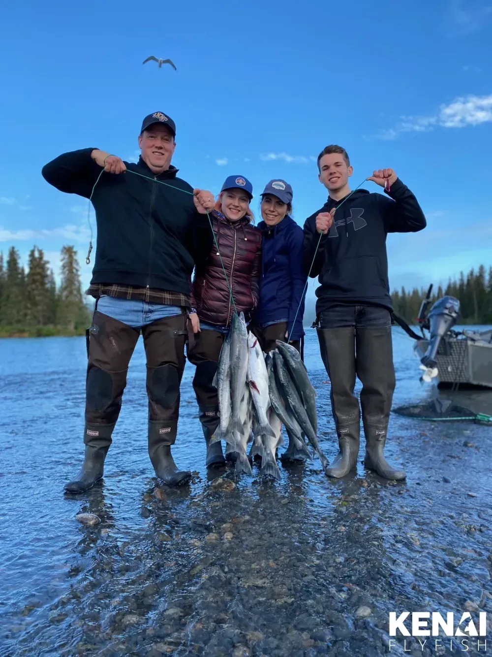 Sockeye Salmon